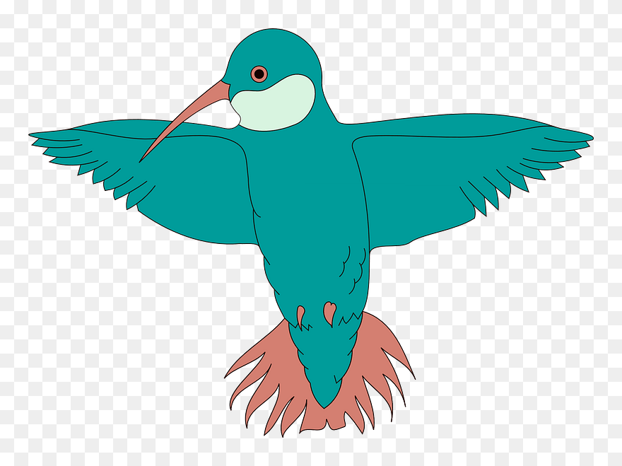 Turquoise Hummingbird Clipart - Bird Spreading Wings Clipart - Png Download