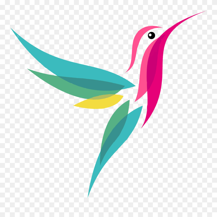 Jamaican Drawing Hummingbird Transparent Png Clipart - Google Hummingbird