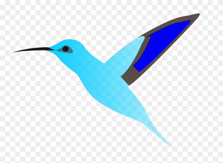 Graphics Of Humming Bird In Flight Clipart