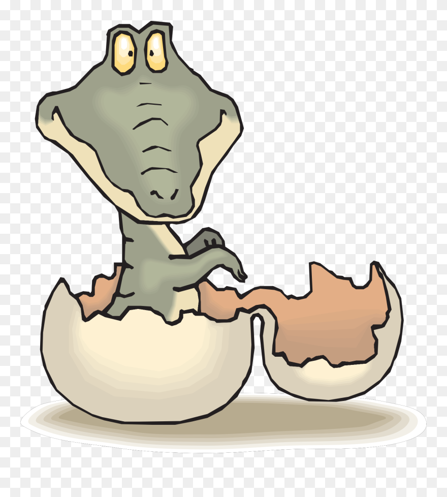 Alligator Hatching Clipart - Png Download