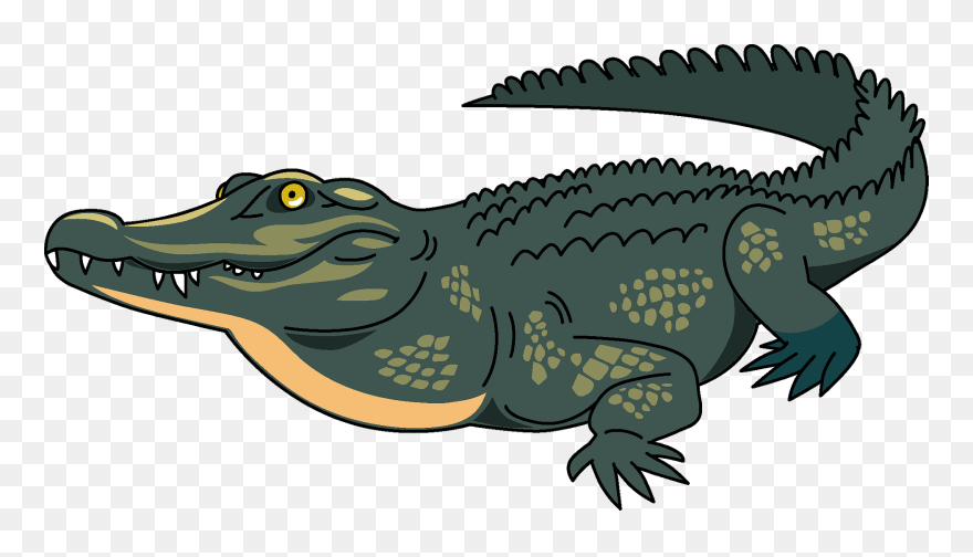 Crocodile Clipart - Png Download