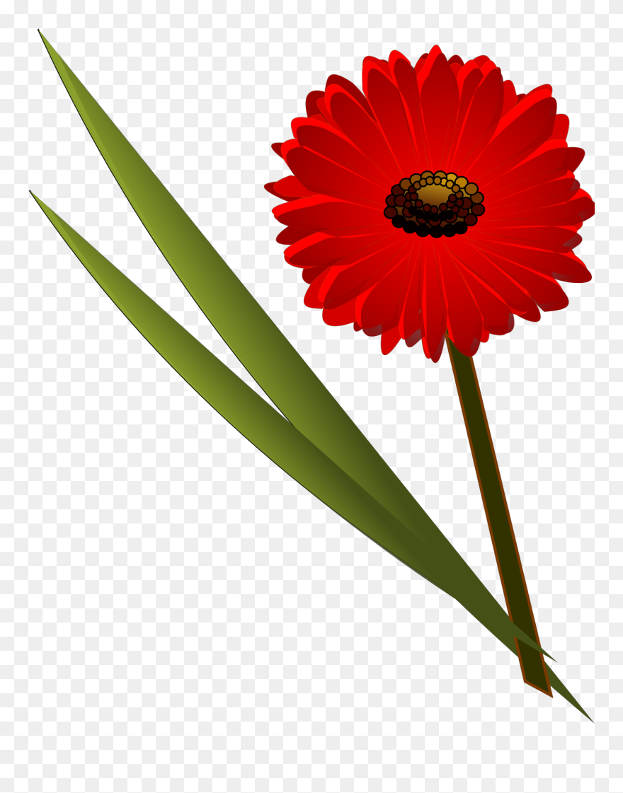 Flower Clip Art - Png Download