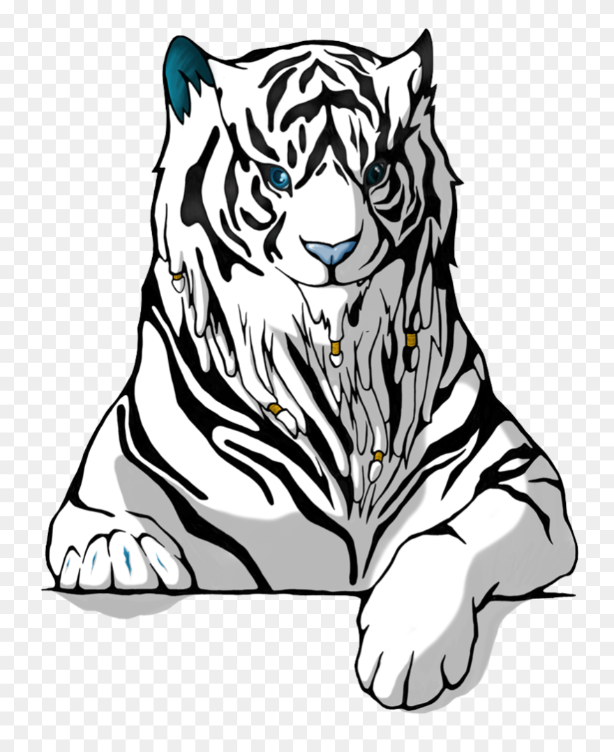 Head Clipart White Tiger - White Tiger Drawing Png Transparent Png