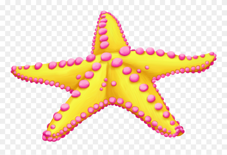Starfish Clip Art Sea Image - Starfish Clipart Png Transparent Png