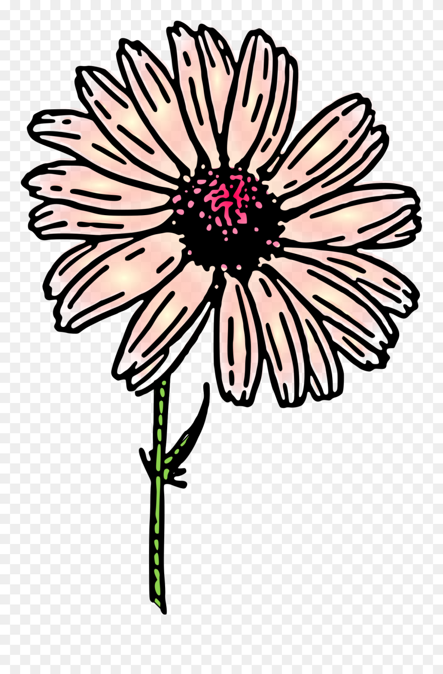 Colored Daisy 2 Small Clipart 300pixel Size, Free Design - Clip Art - Png Download