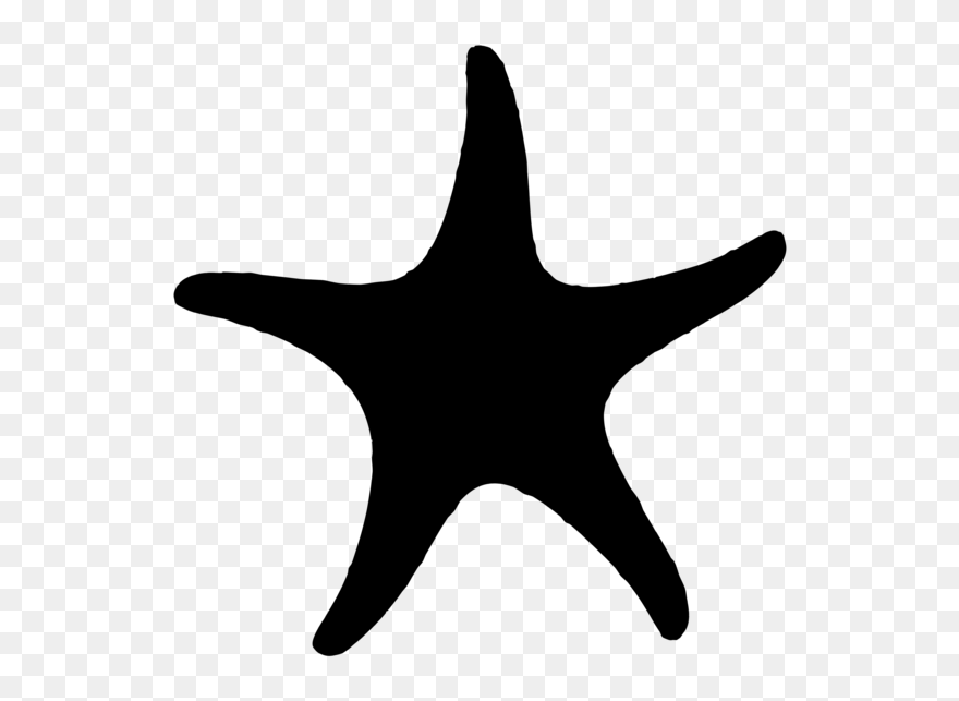 Transparent Background Silhouette Starfish Clipart - Starfish - Png Download