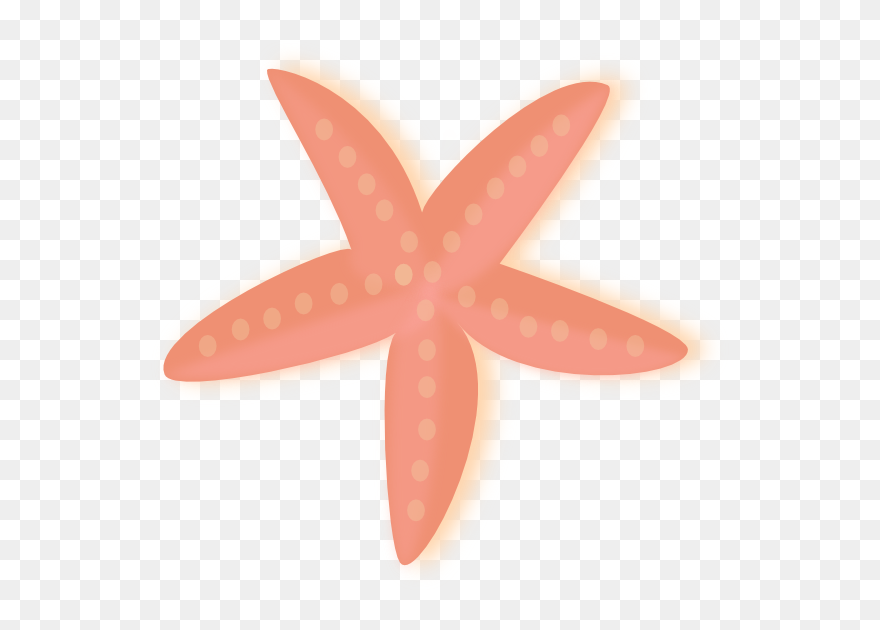 Transparent Starfish Clip Art Png - Starfish