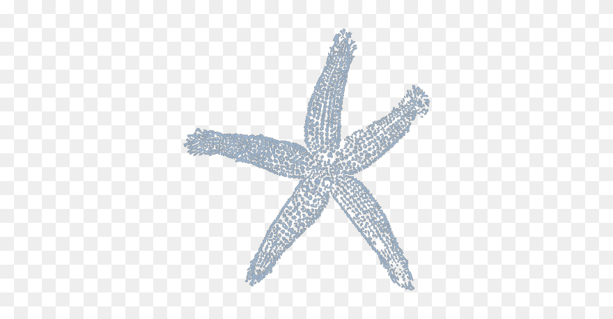 Pesca Clipart