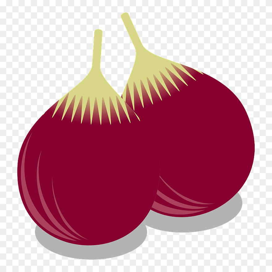 Common Fig Fruit Clipart - Vegetable - Png Download