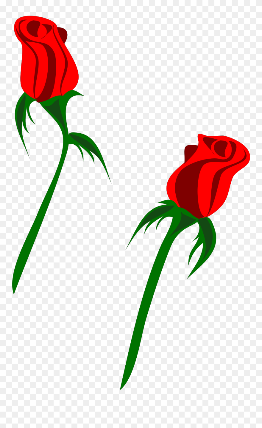 Clip Art - Png Download