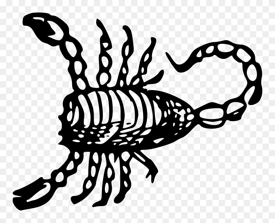 Pdf Picture Scorpion Clipart