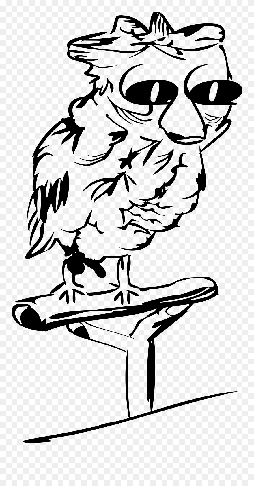 B Drawing Clip Art - Gambar Sketsa Owl Hitam Putih - Png Download