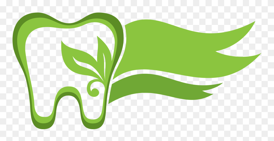 15 Tooth Vector Png For Free Download On Mbtskoudsalg - Tooth Vector Png Transparent Clipart