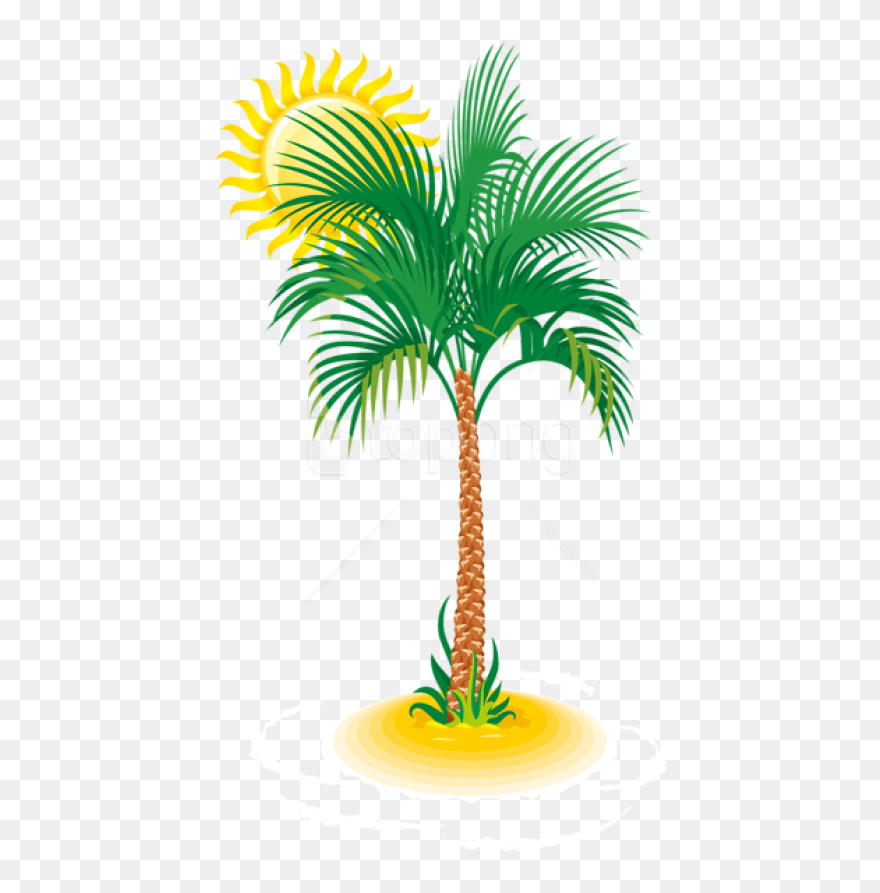 Free Png Download Palm And Sun Clipart Png Photo Png - Sun Palm Tree Cartoon Transparent Png