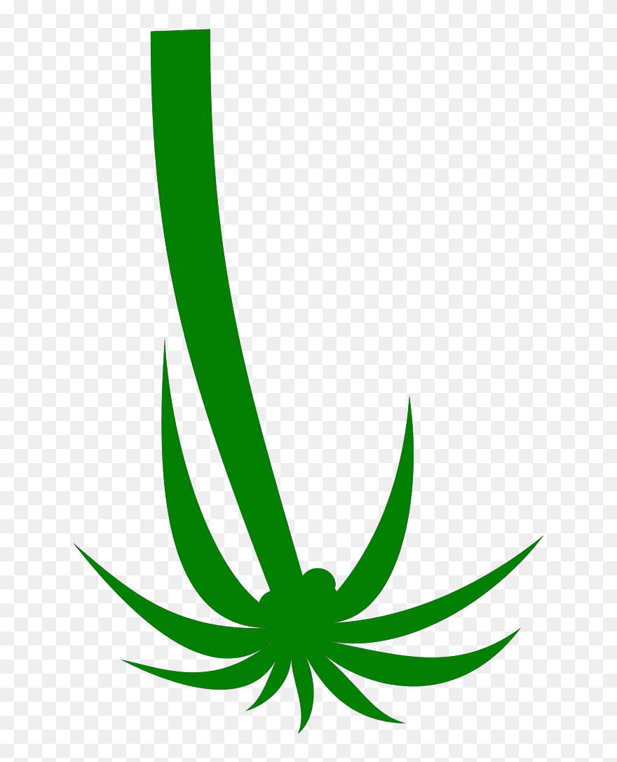 Palm Tree Clip Art - Png Download