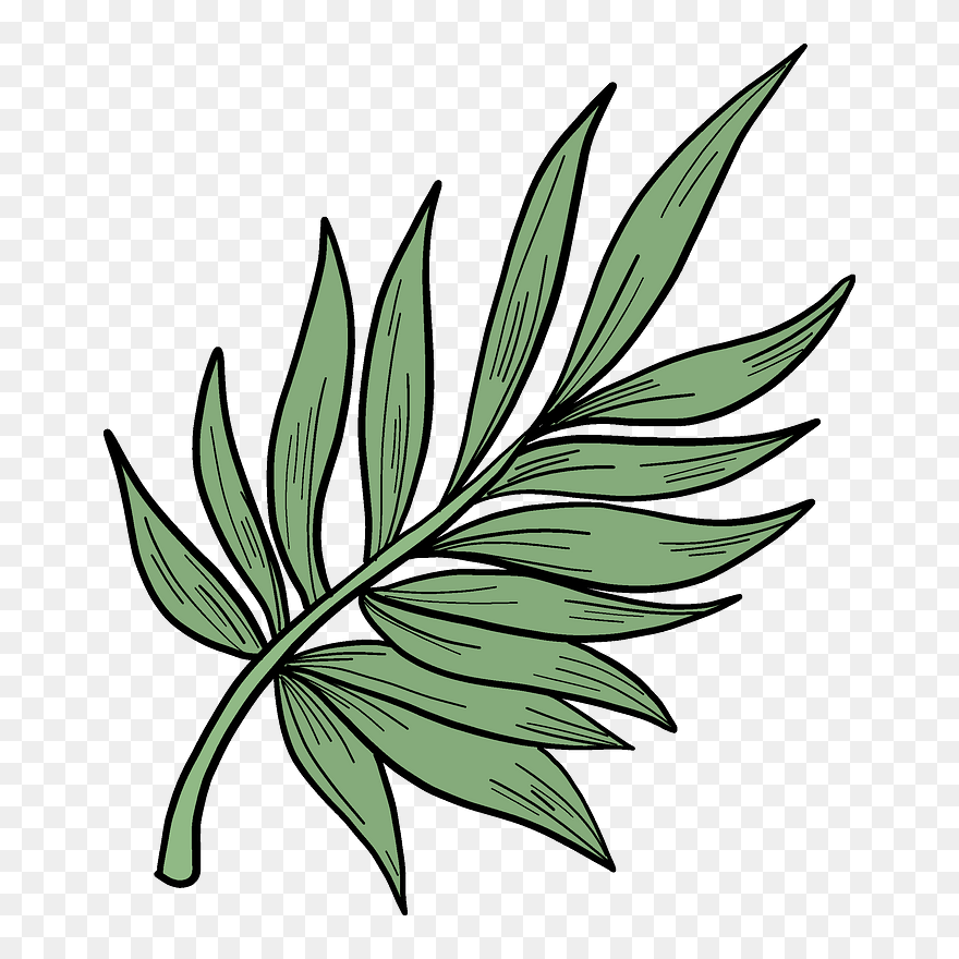 Palm Leaf Clipart Png Download Pinclipart
