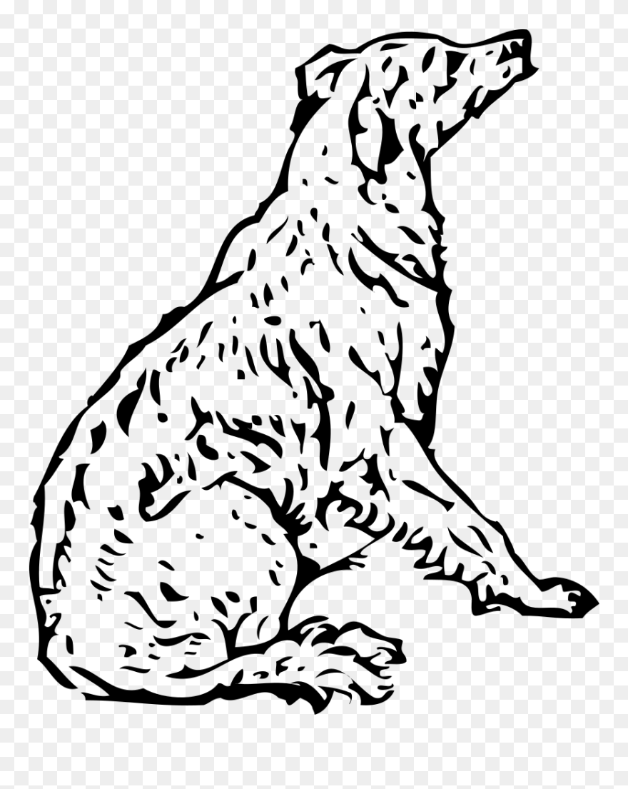 Golden Retriever Coloring Pages Clipart