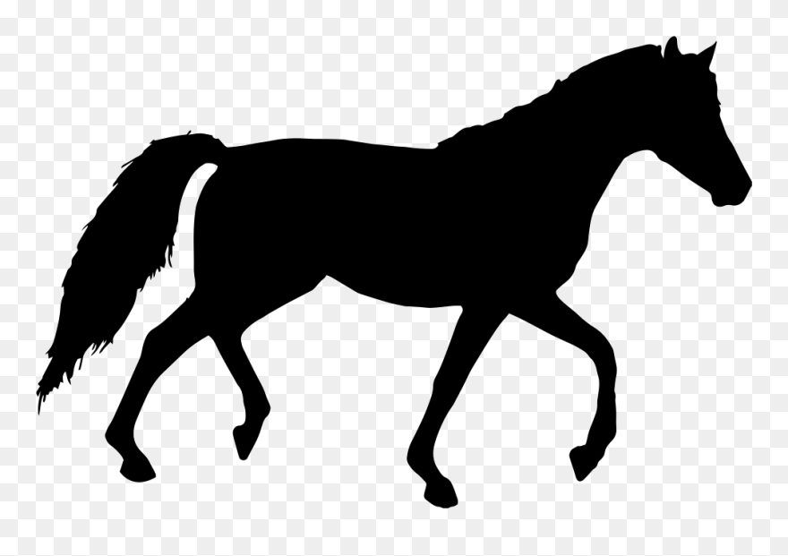 Horse Silhouette Clip Art - Horse Silhouettes - Png Download