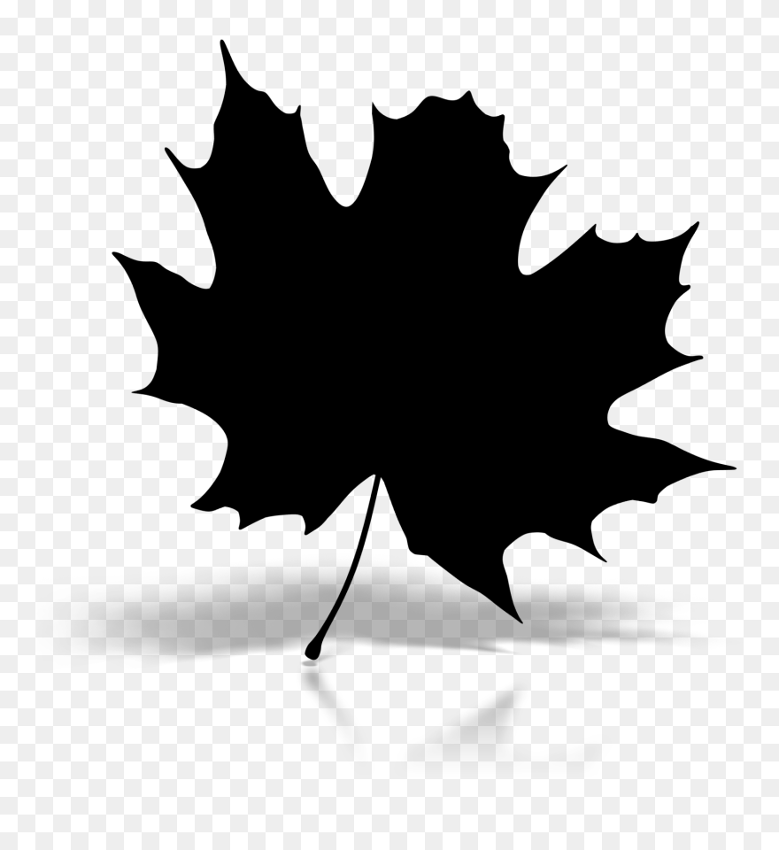 Maple Leaf Baku Silhouette Image Clip Art - Maple Leaf - Png Download
