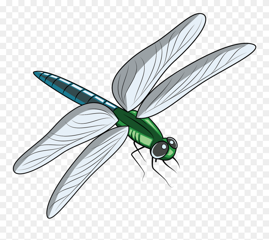 Free Download - Clipart Image Of Dragonfly - Png Download
