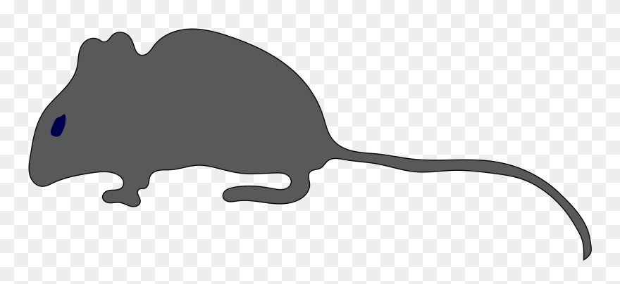 Rat Mouse Silhouette Tail Clip Art - Clip Art - Png Download