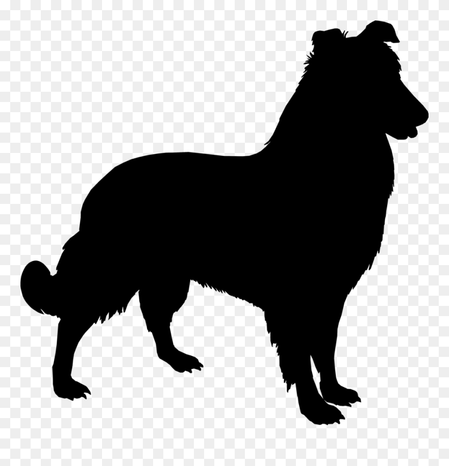 Anatolian Shepherd Yorkshire Terrier Sheltie German - Silhueta De Animais Cachorro Clipart