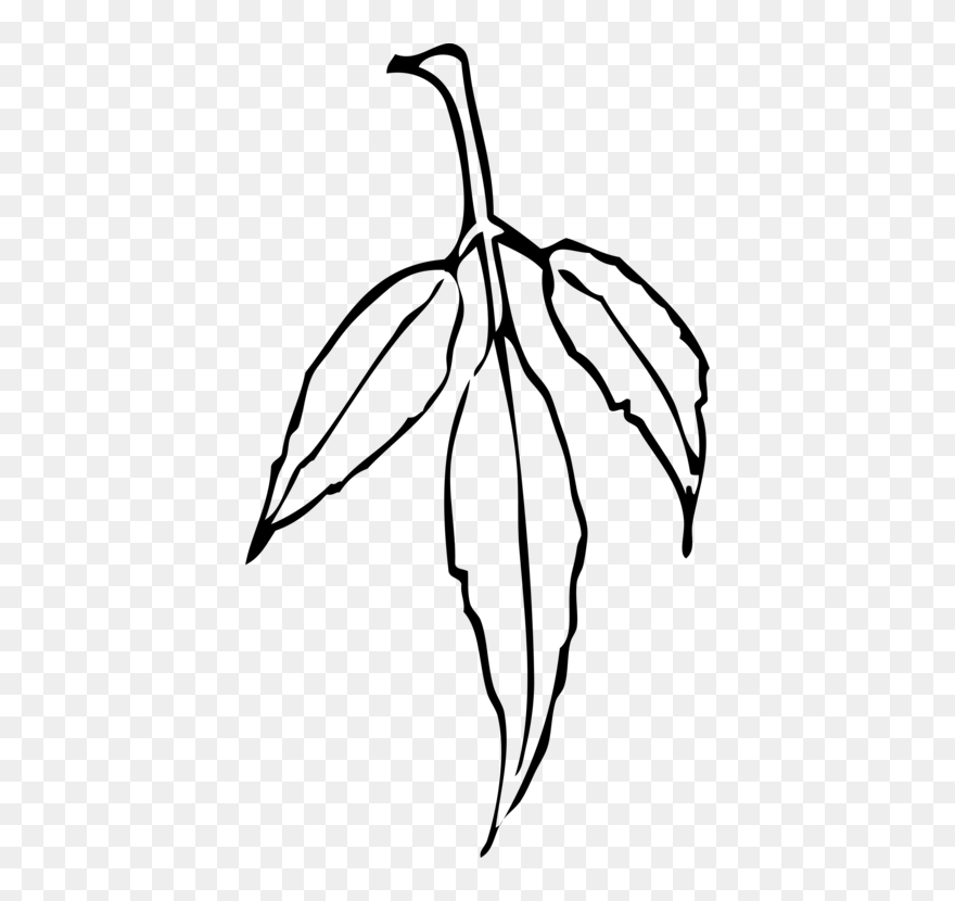 Monochrome - Outline Of Neem Leaves Clipart