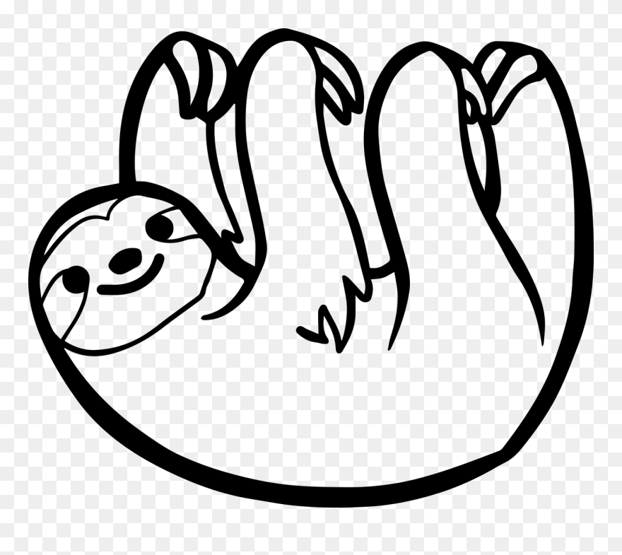 Two Toed Sloth Drawing Clipart