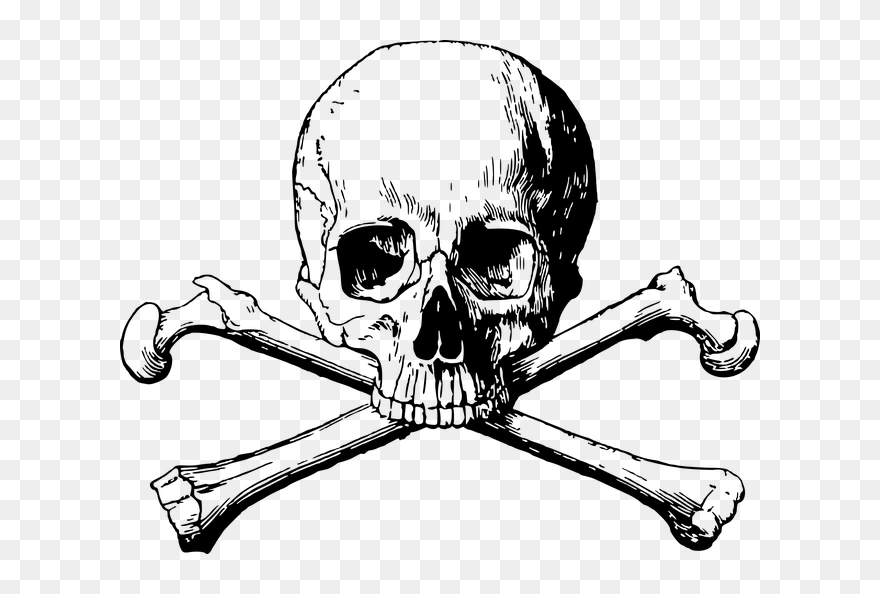 Free Photo Danger Halloween - Skull And Bones Png Clipart