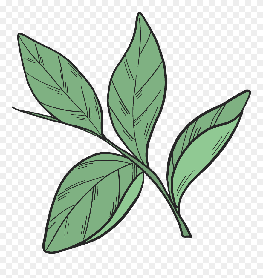 Clip Art - Png Download