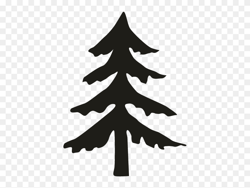 Fir Pine Spruce Christmas Tree - Simple Pine Tree Silhouette Png Clipart