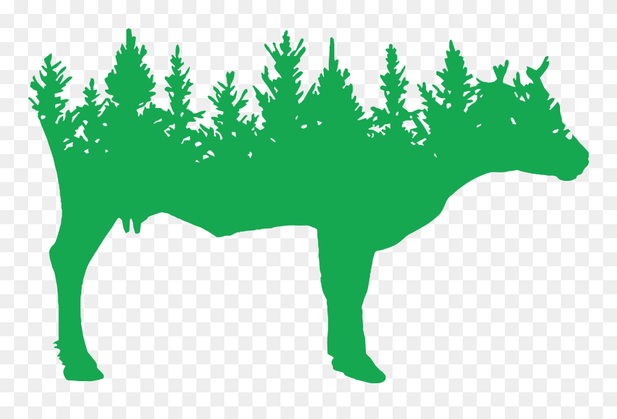 Spring Forest Farm - Cow Vector Clipart