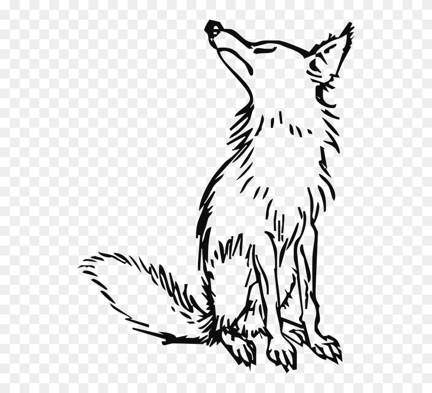 Outline Fox And The Grapes Clipart