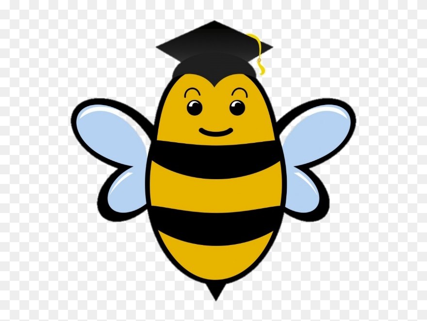 Spelling Clipart Spelling Practice, Picture - Bee With Graduation Cap - Png Download