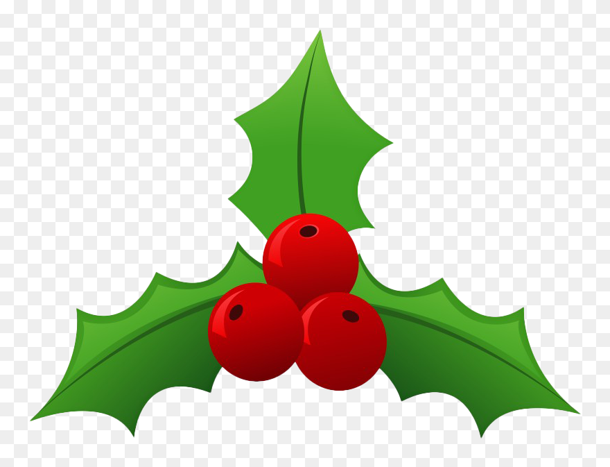 Christmas Mistletoe Png File - Transparent Background Mistletoe Clipart