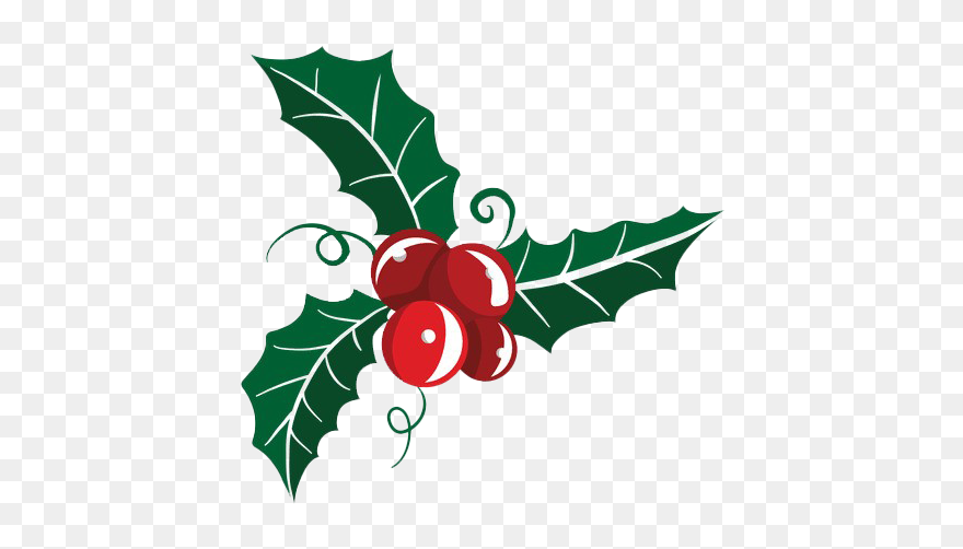Mistletoe Png Free Download - Christmas Mistletoe Clipart Transparent Png