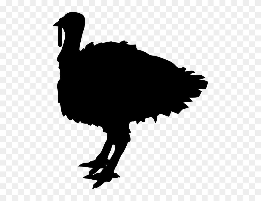 Transparent Turkey Silhouette Clipart - Black Turkey Clipart - Png Download