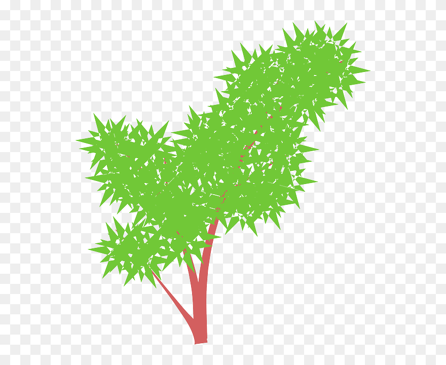 Bush, Weeds, Plant, Green Nature - Bui Co Hoat Hinh Clipart