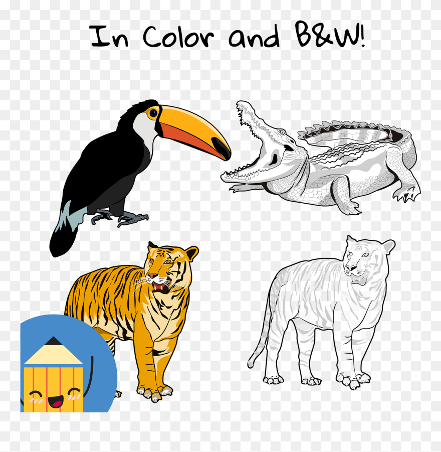 Illustration Clipart