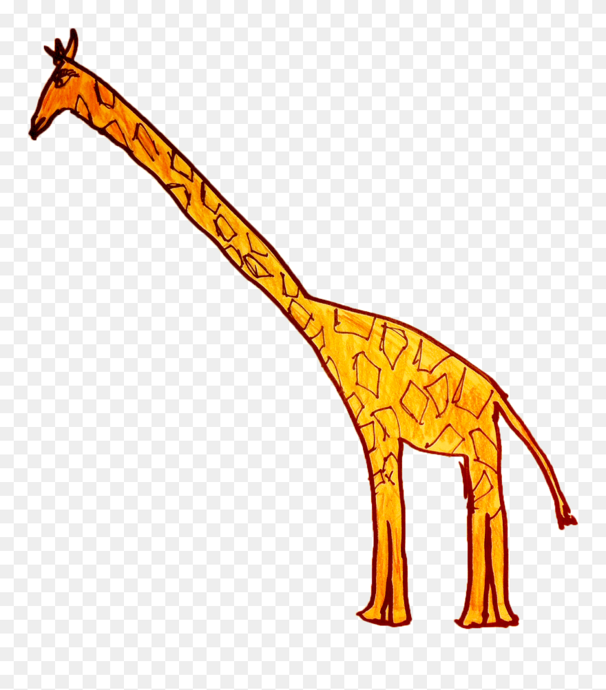 Work Placement Blog - Giraffe Clipart