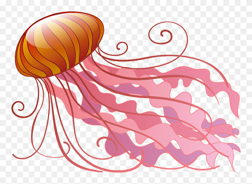 Jellyfish Clipart - Clipart Jelly Fish - Png Download