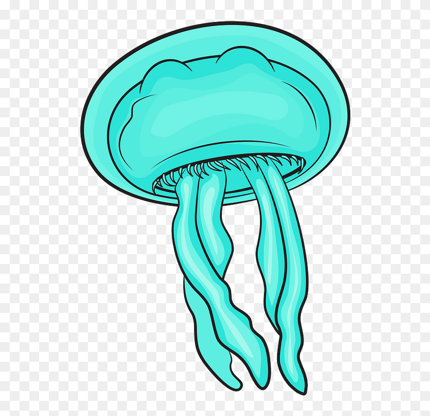 Moon Jellyfishes Clipart - Gorra Parte De Atras - Png Download