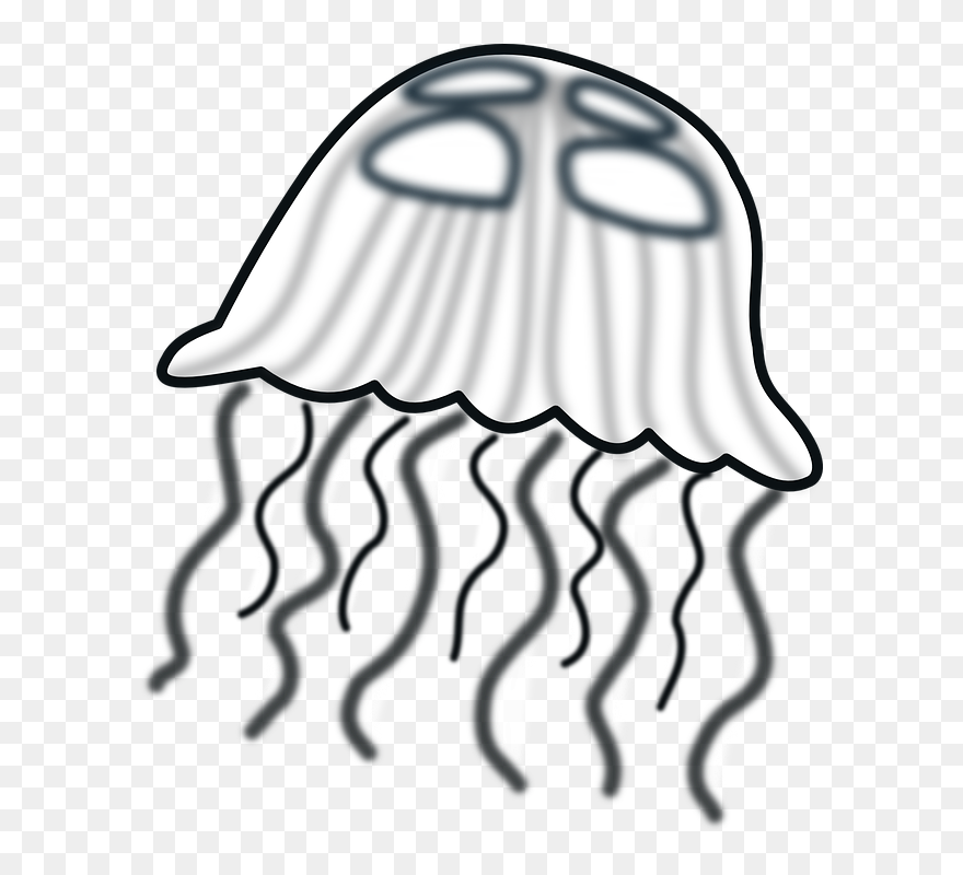 Jellyfish Black White - Jelly Fish Clipart - Png Download
