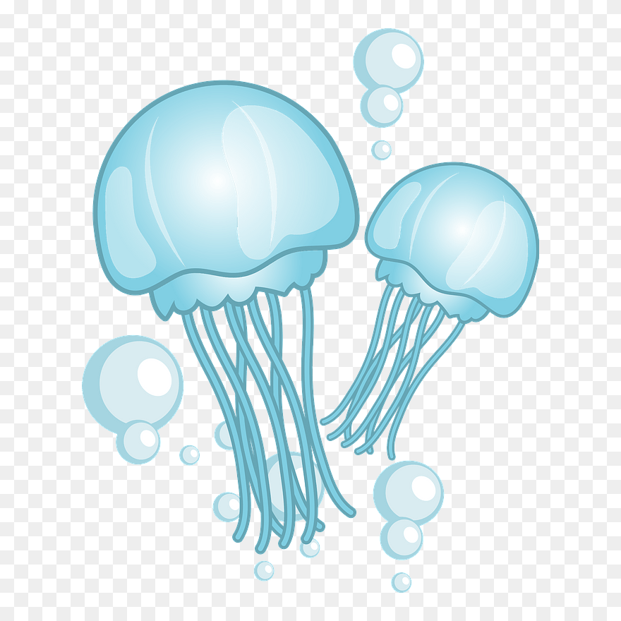 Jellyfish Clipart - Jellyfish - Png Download