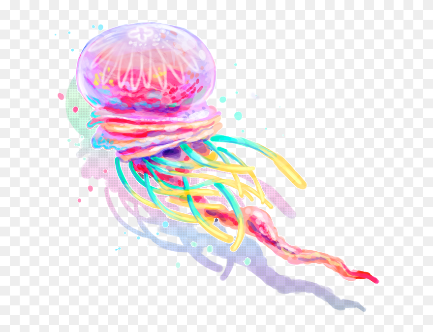 Jellyfish Png Clipart - Moon Jelly Transparent Png