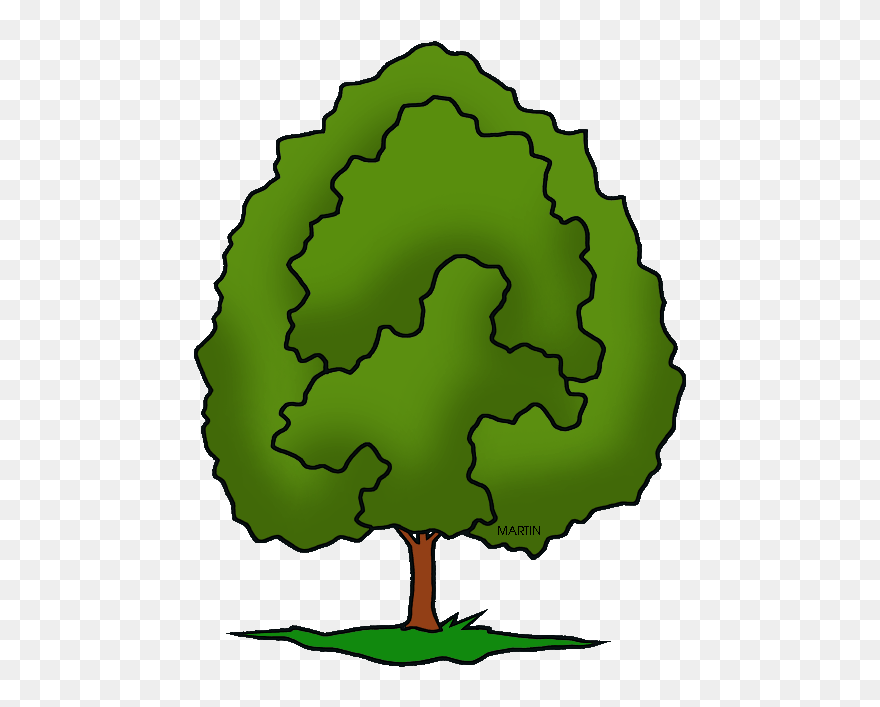Oak Clipart Tree Animation - Phillip Martin Clipart Tree - Png Download