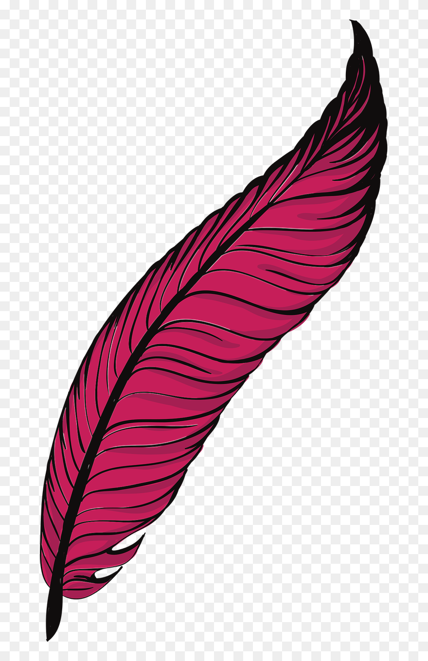 Clip Art - Png Download