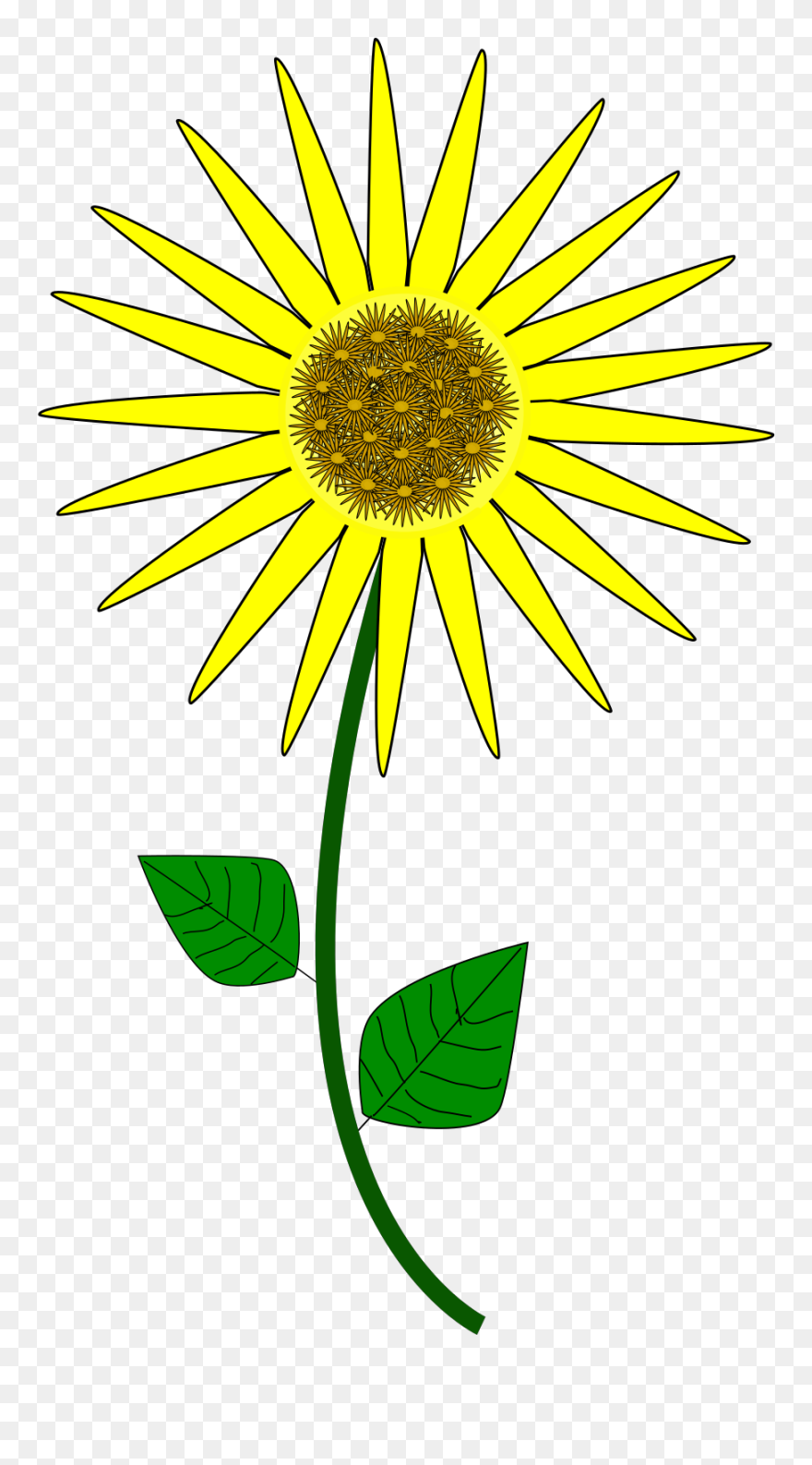 Sunflower Cartoon Clipart