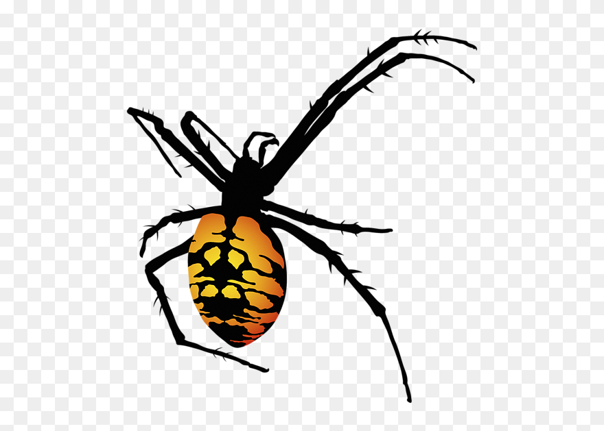 Spider With Yellow And Orange Clipart