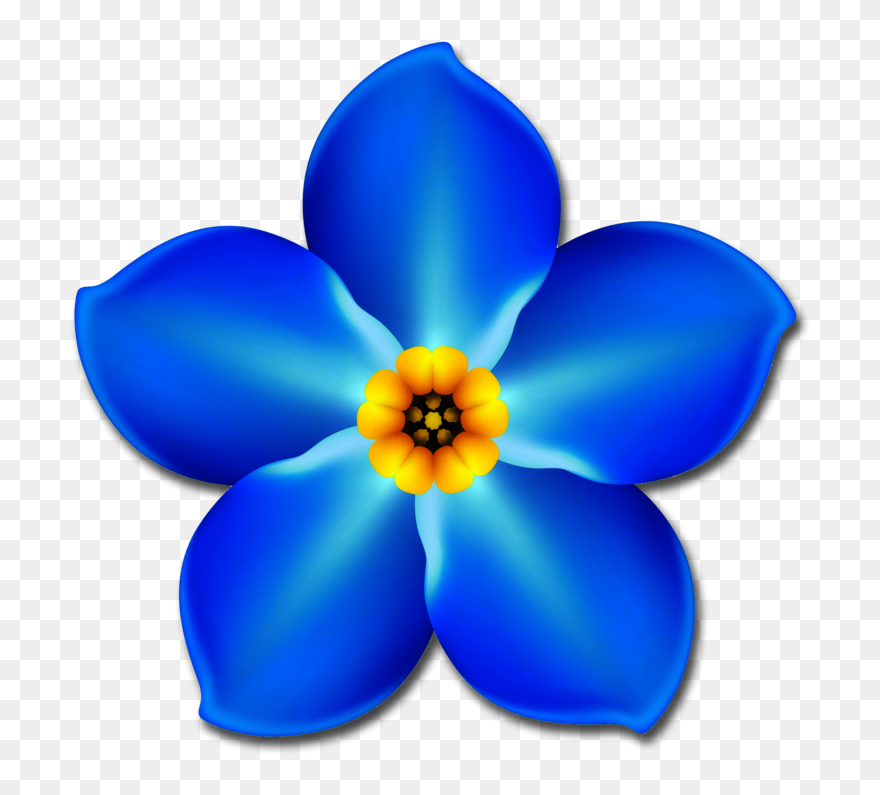 Forget Me Not Flower Png - Forget Me Not Flower Clipart Transparent Png